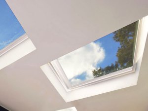outdoor patio skylights with blue skies and trees in wellington